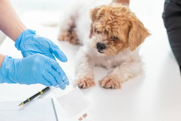 In-House Health Testing