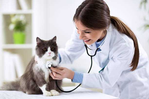 Pet Health Screening
